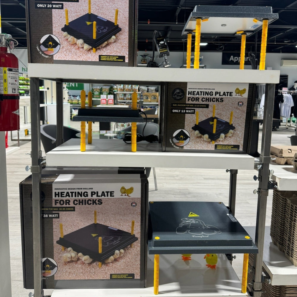 12x12 black heating plate for chicks, 22W energy-efficient brooder warmer by Hatching Time with adjustable height