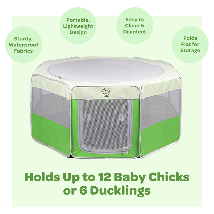 Collapsible canvas pop-up brooder for 12 chicks by My Pet Chicken, ideal for baby chick supplies.