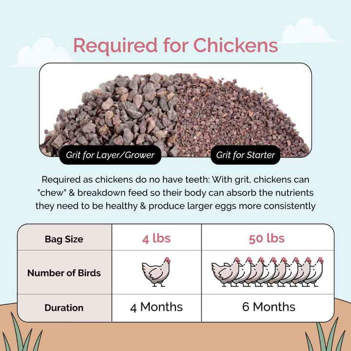 Sémola de pollo