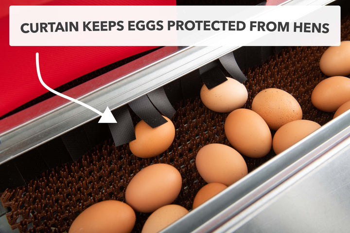 HenGear 24" Galvanized Rollout Nest Box - 20 Hens Premium