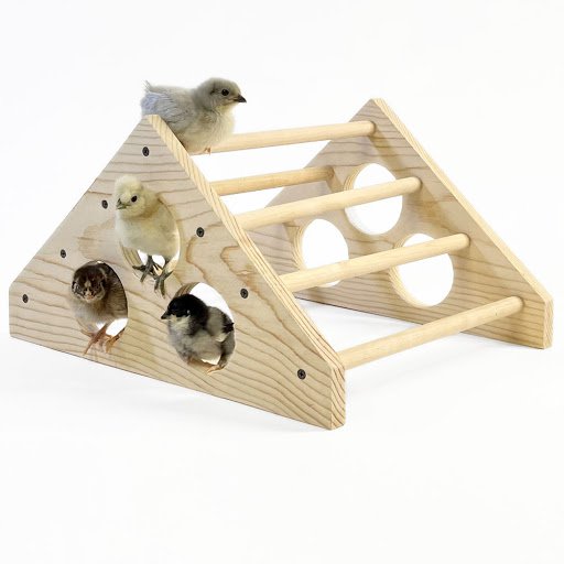 Premium Baby Chick Starter Kit - Complete Brooder Setup with Heater