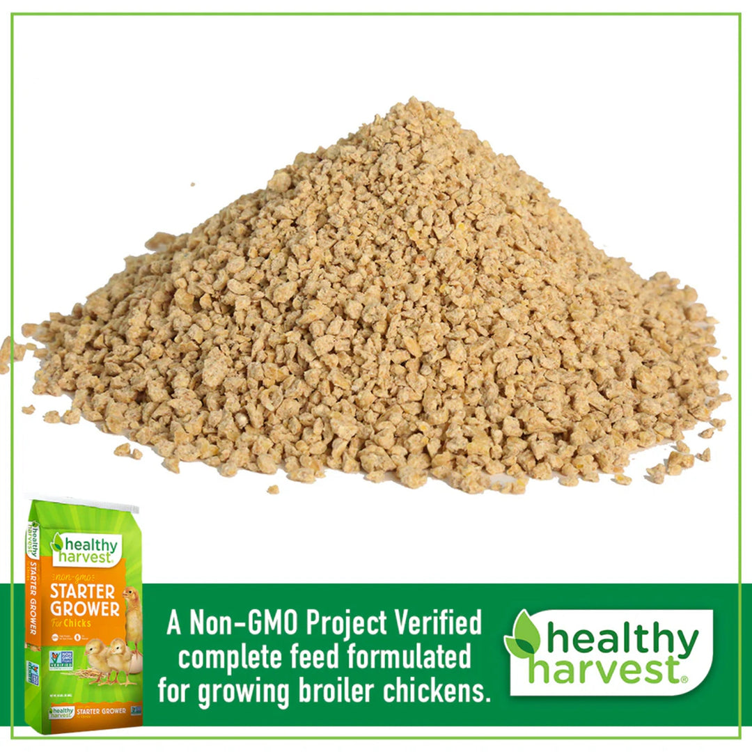 Alimento inicial y de crecimiento para pollitos Healthy Harvest 20% sin OGM