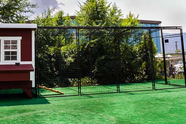 OverEZ Chicken Coop pre-painted steel chicken run, 15ft long, 6'6\" wide, 6'3\" high outdoor enclosure.