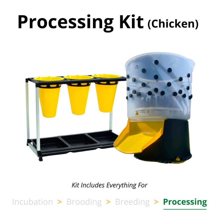ABS plastic chicken processing kit featuring a 3-cone unit and feather plucker by Hatching Time