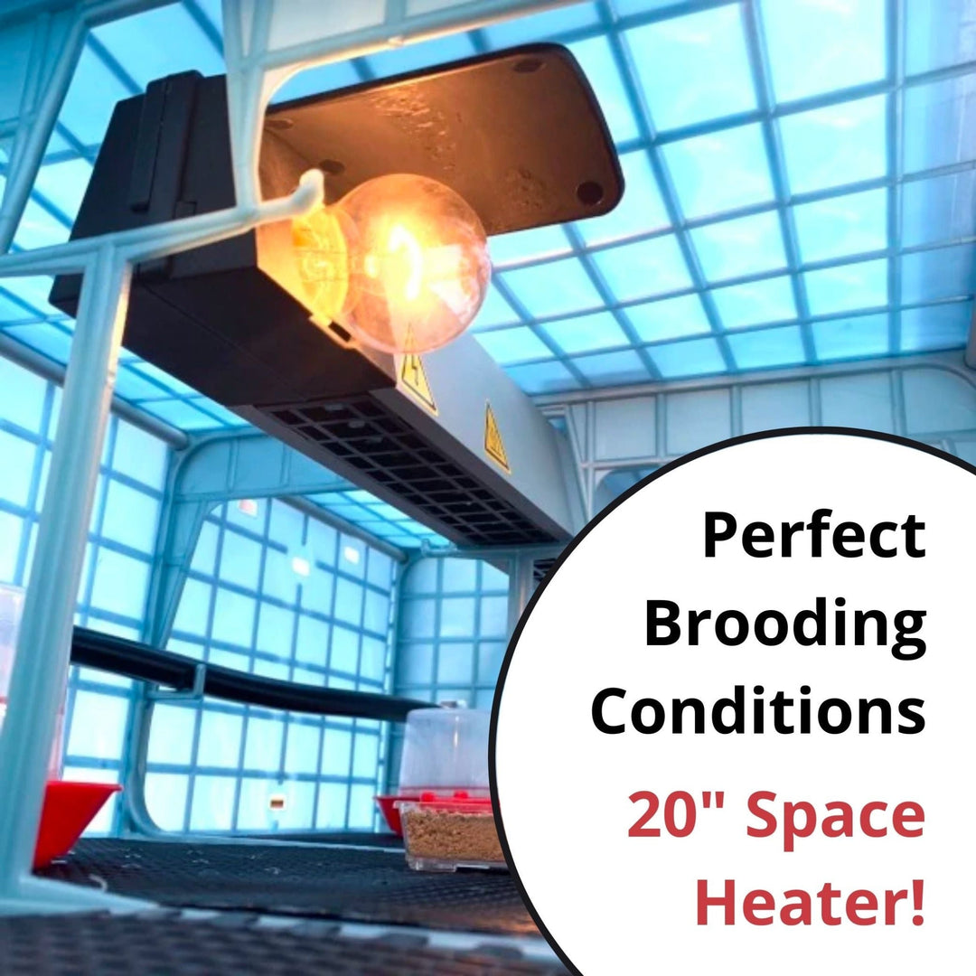 Kit Quail Pro Plus: proceso de principio a fin