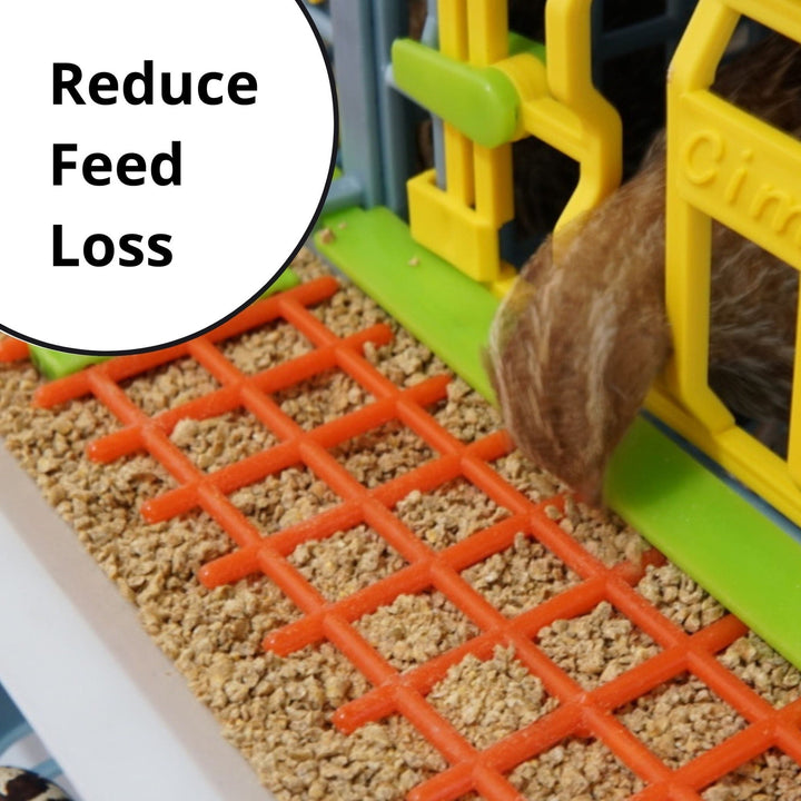 Kit semiprofesional para codornices