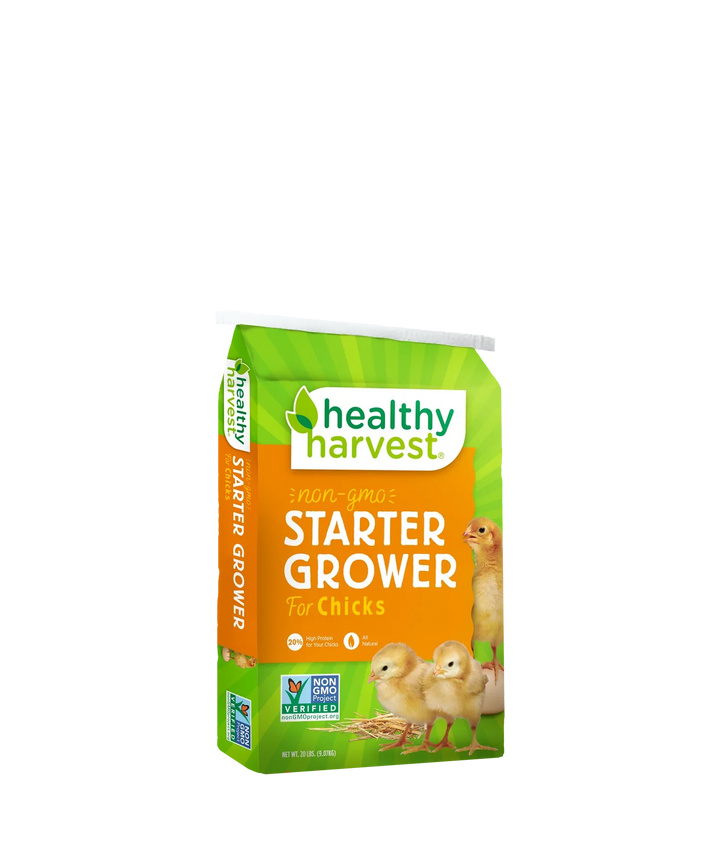 Alimento inicial y de crecimiento para pollitos Healthy Harvest 20% sin OGM