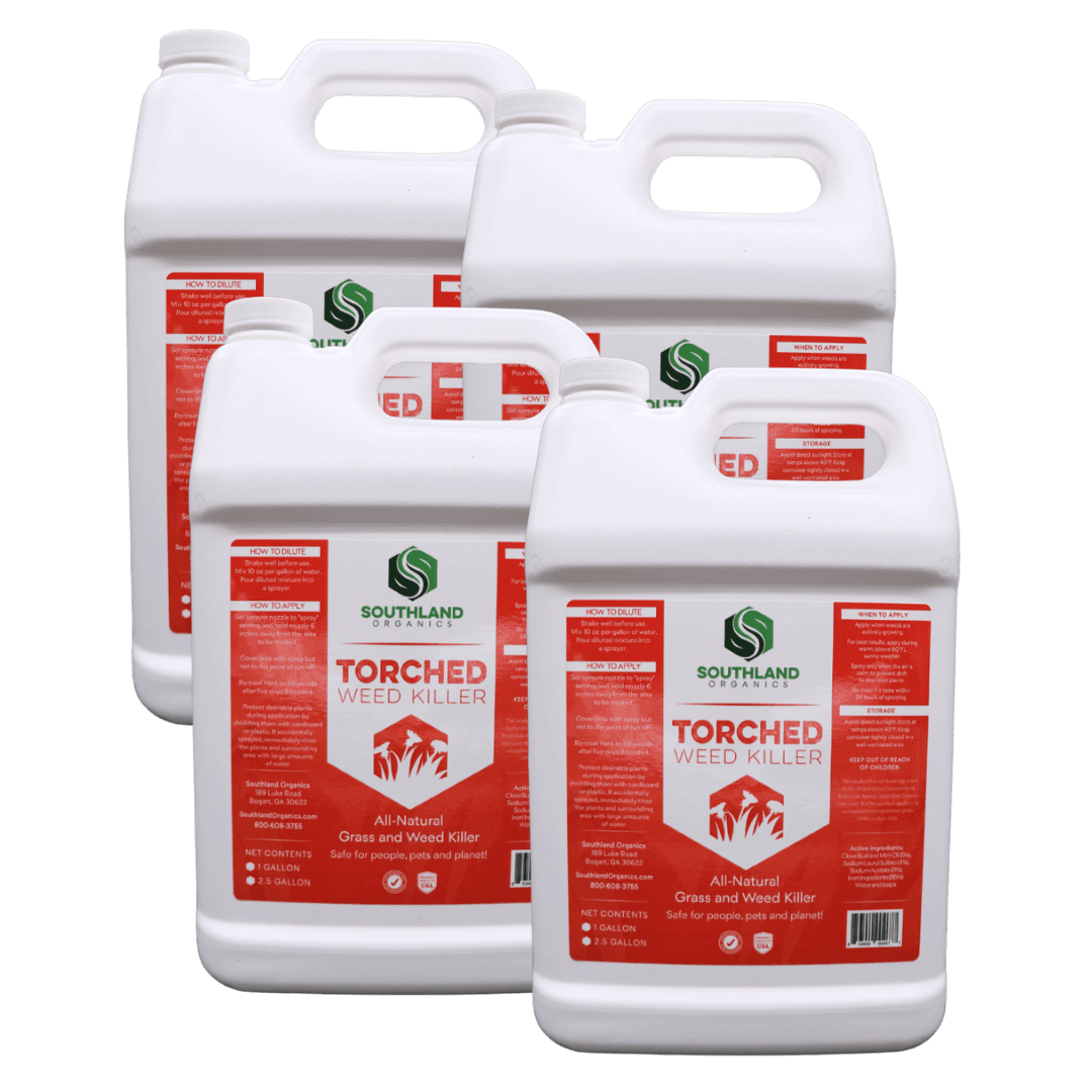 Torched All-Natural Weed Killer