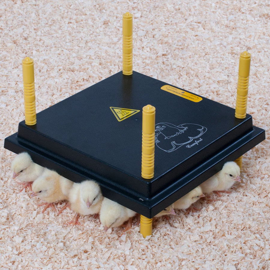 12x12 Comfort Heating Plate for chicks by Hatching Time, energy-efficient 22W brooder warmer with adjustable height