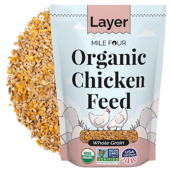 Alimento orgánico para gallinas ponedoras