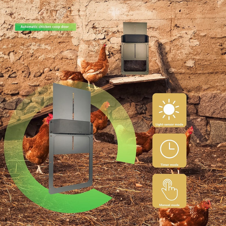 Automatic aluminum chicken coop door from My Pet Chicken with battery operation for convenient access.
