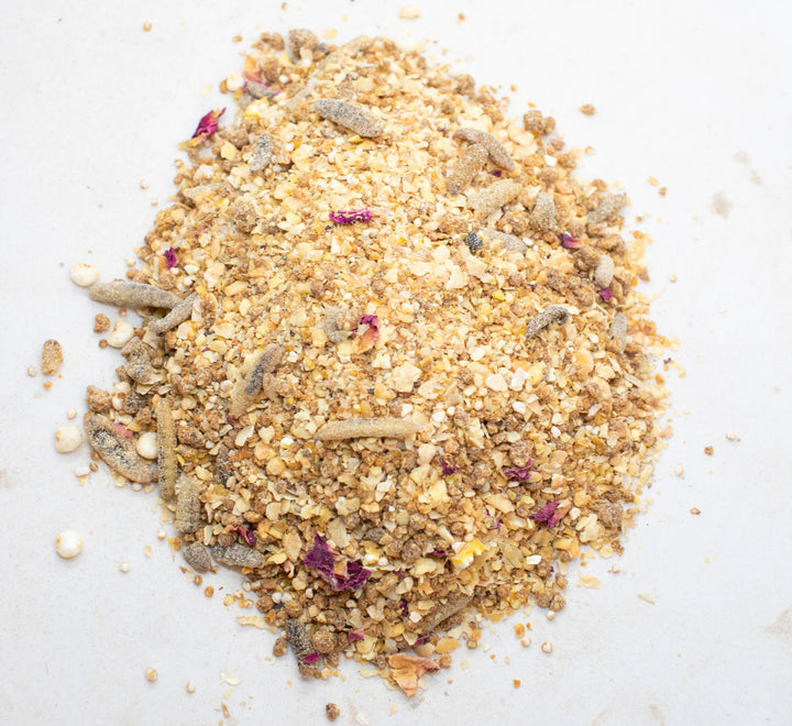 Chickeratti Protein-Rich Treat for Baby Chicks with Mealworms