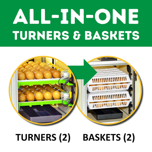 CT60 SH egg incubator in gray, featuring automatic egg turner and active periodic cooling for 60 eggs.