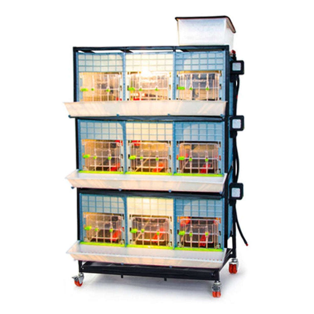Three-layer chick brooder, Hatching Time brand, height: 15 inches, designed for healthy baby birds