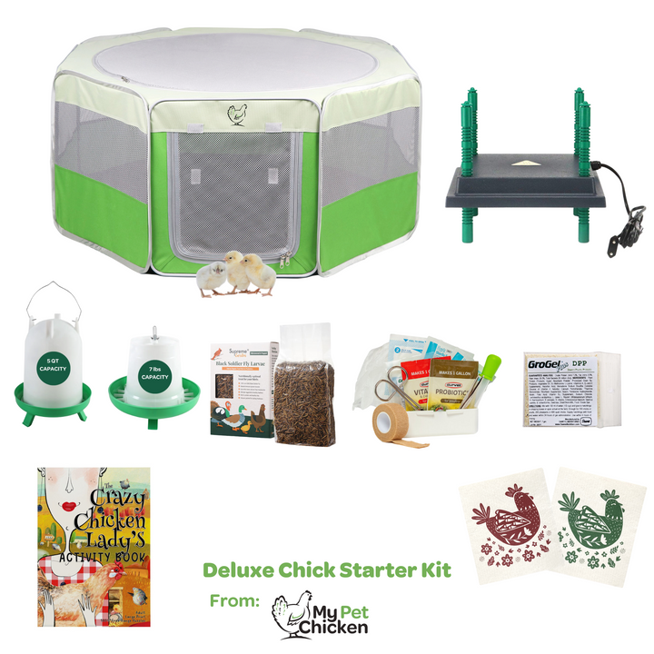 Complete Chick Starter Kit with Pop-Up Brooder & Heat Plate