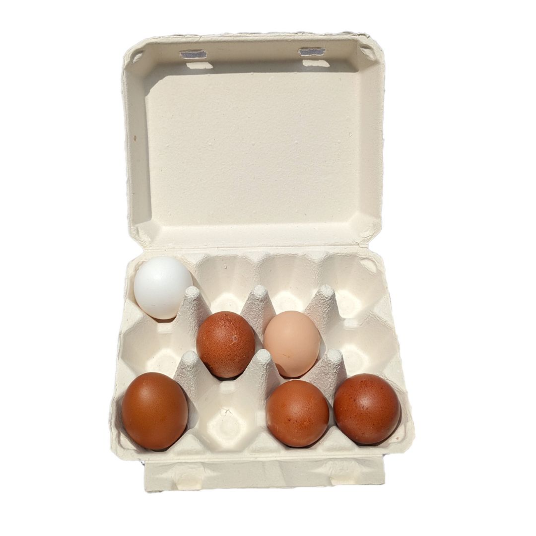 Tan and white cardboard egg cartons in a 3x4 design by My Pet Chicken, available in packs of 25, 65, or 200.