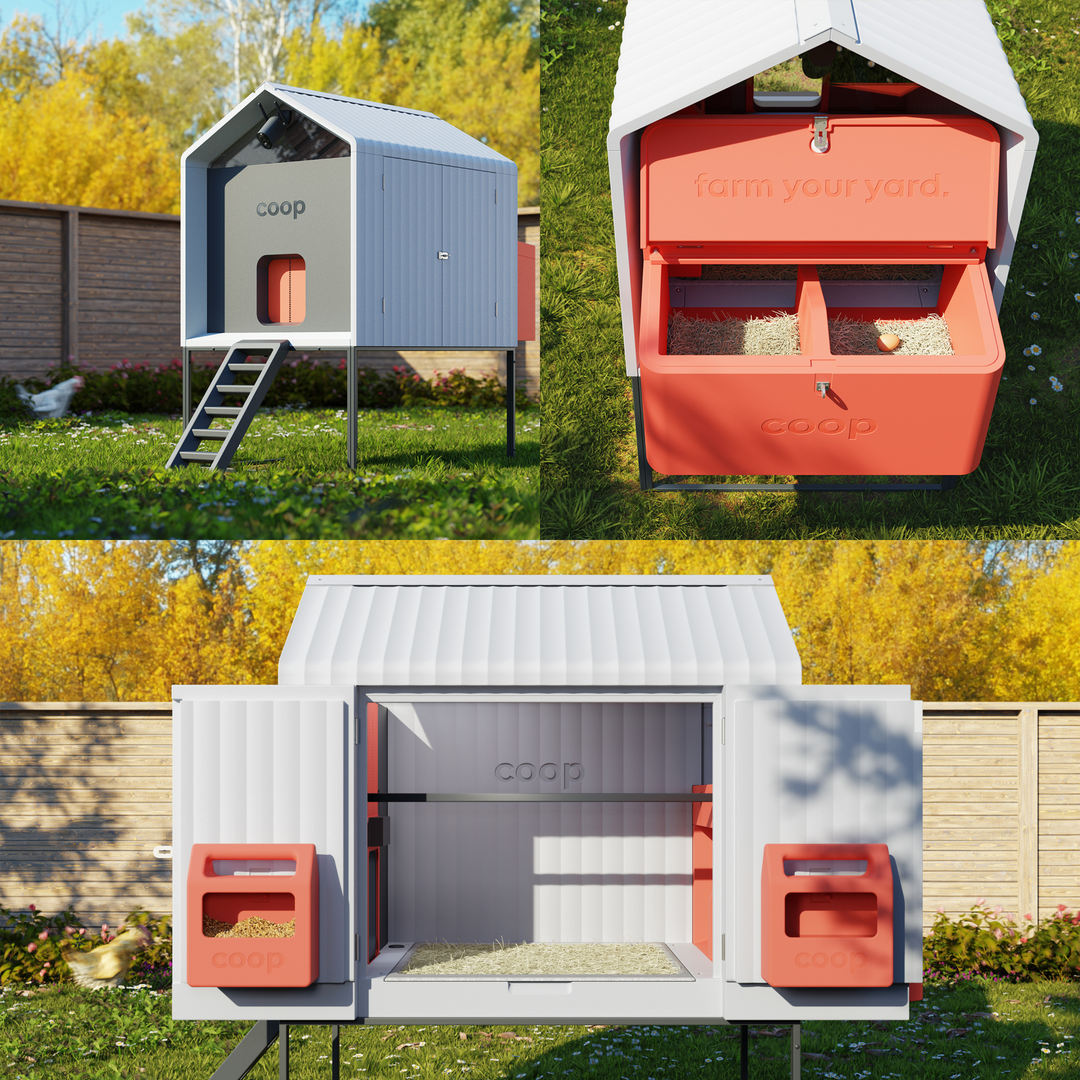 Smart Coop Unlimited+ Automated Chicken Coop Bundle - Free Chicks