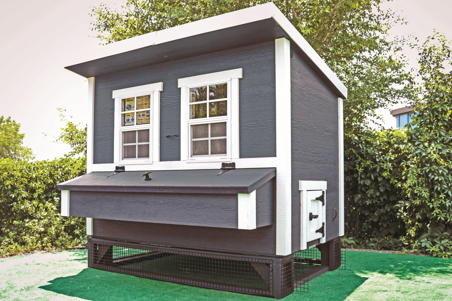 Paneles de alambre grandes para gallinero - Estructura de madera tratada a presión