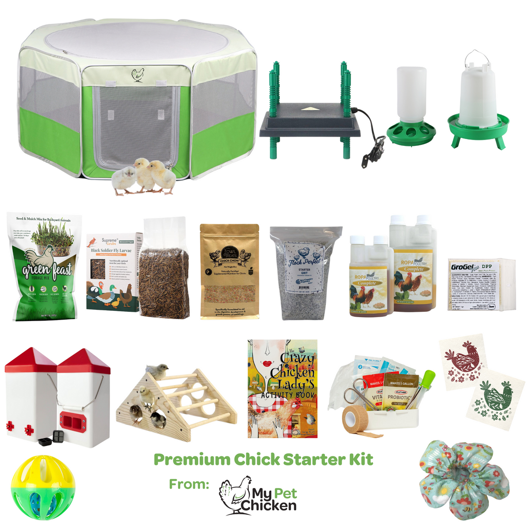 Premium Baby Chick Starter Kit - Complete Brooder Setup with Heater