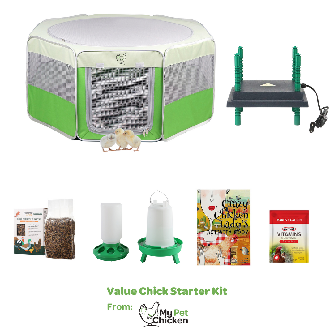 Complete Chick Starter Kit - Brooder, Heater, Feeder Set (12 Chicks)