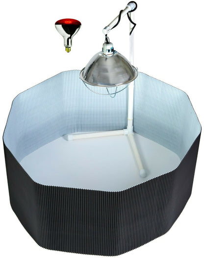 Deluxe Chick Brooder Kit With Corral, Lamp Stand, Lamp, & Bulb