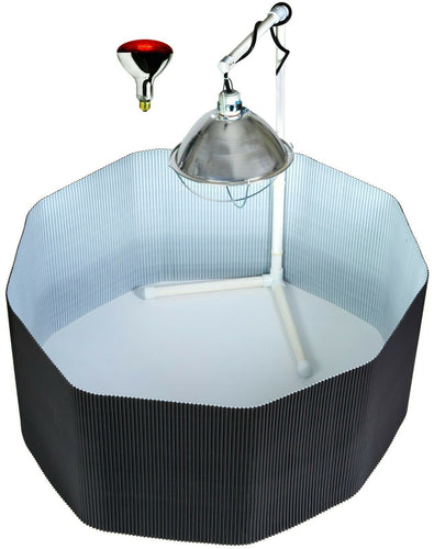 Deluxe Chick Brooder Kit With Corral, Lamp Stand, Lamp, & Bulb