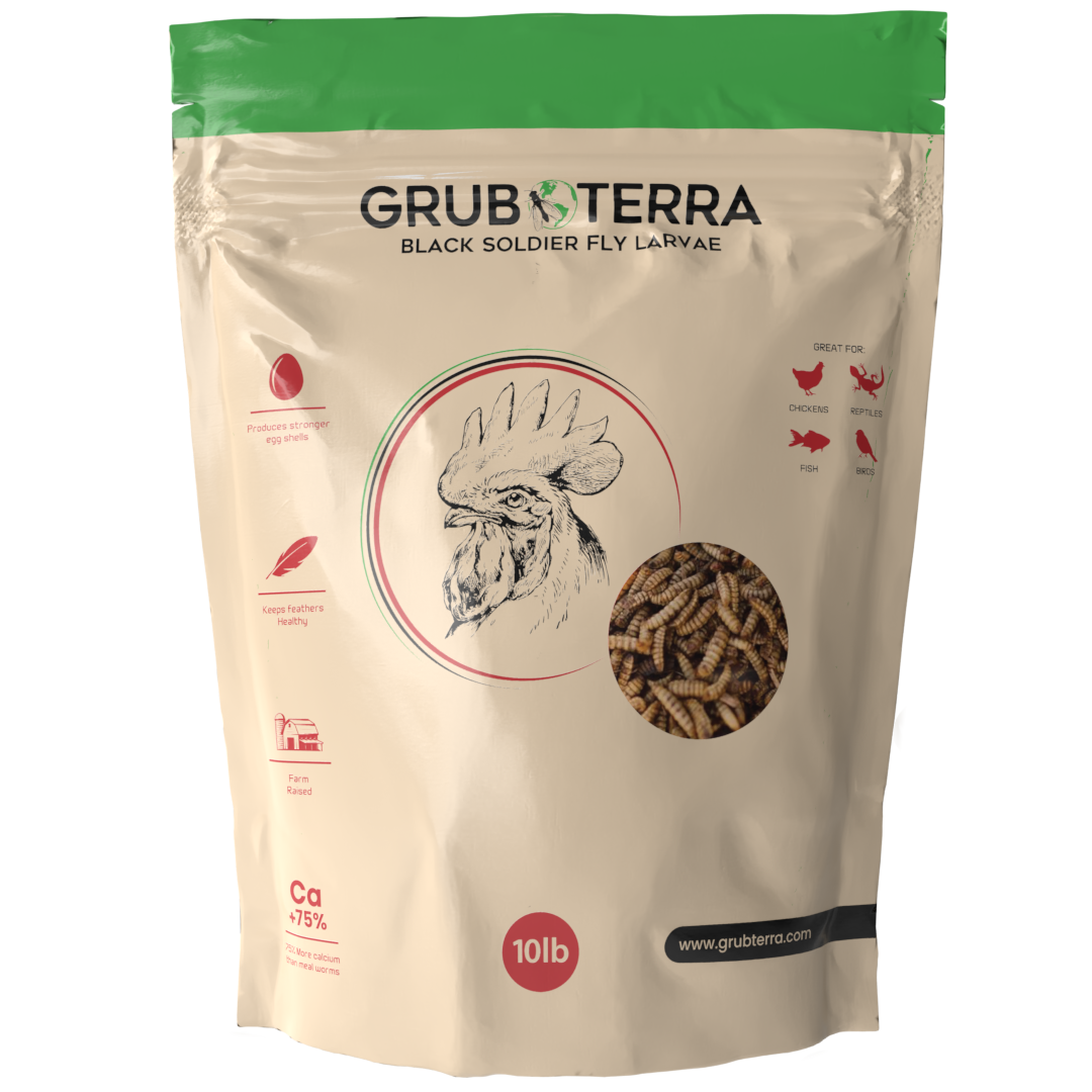 GrubTerra 10lb bag of dried black soldier fly larvae for premium chicken feed, showcasing protein-rich insect treats.