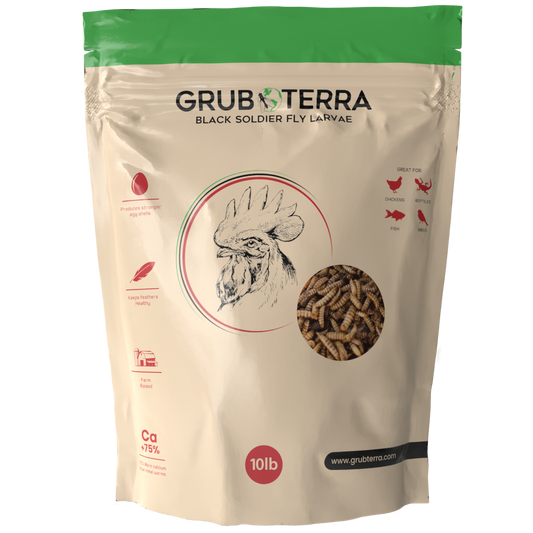 GrubTerra 10lb bag of dried black soldier fly larvae for premium chicken feed, showcasing protein-rich insect treats.
