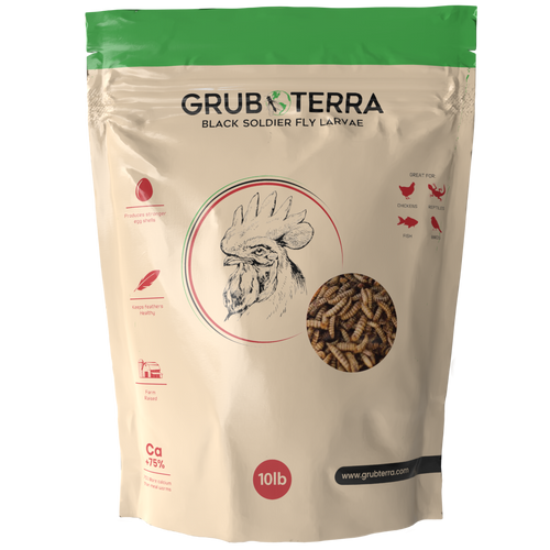 GrubTerra 10lb bag of dried black soldier fly larvae for premium chicken feed, showcasing protein-rich insect treats.