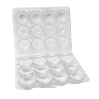 Clear plastic 12-egg carton for quail eggs by Hatching Time, ideal for display and commercial packaging.