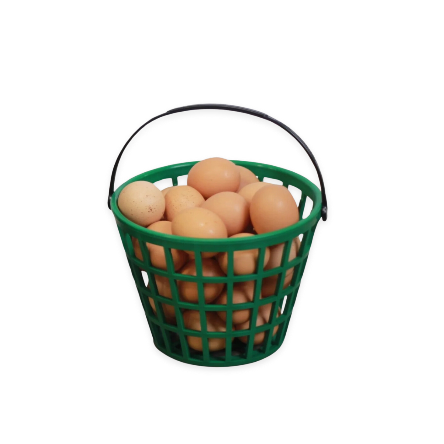 Green plastic EZ-Gather egg basket by HenGear filled with fresh eggs, ideal for backyard chicken supplies.