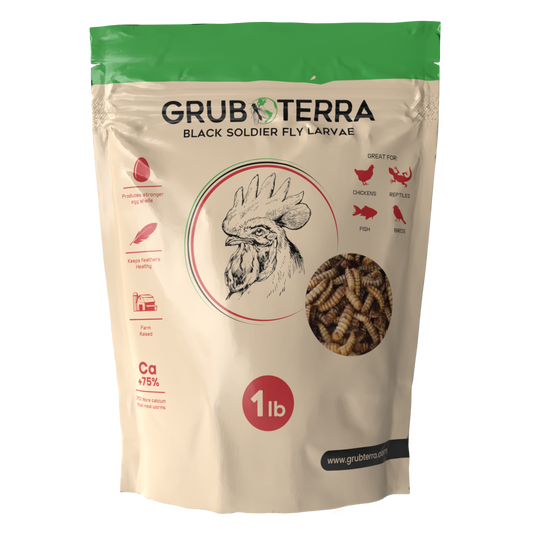 1lb bag of GrubTerra dried black soldier fly larvae for premium chicken treats, featuring a resealable top