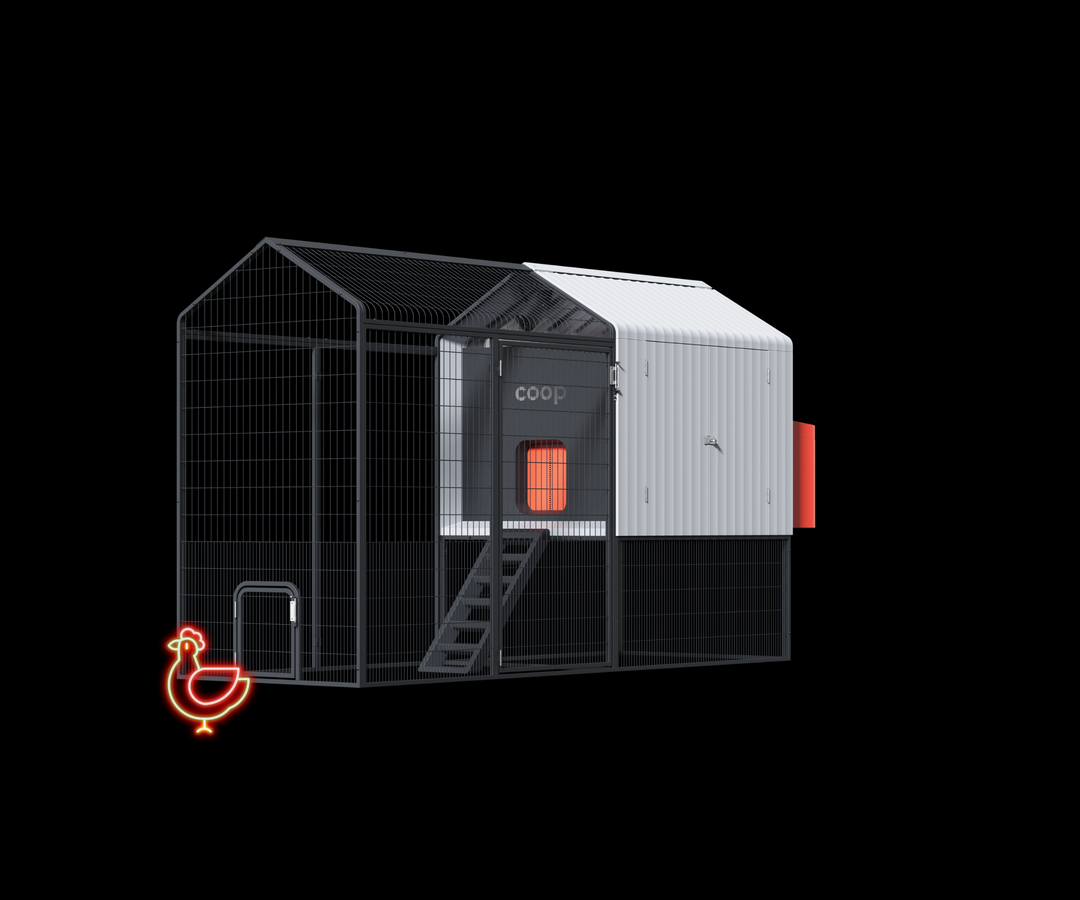 Smart Automated Chicken Coop by The Smart Coop with steel run, AI cameras, and app control features.
