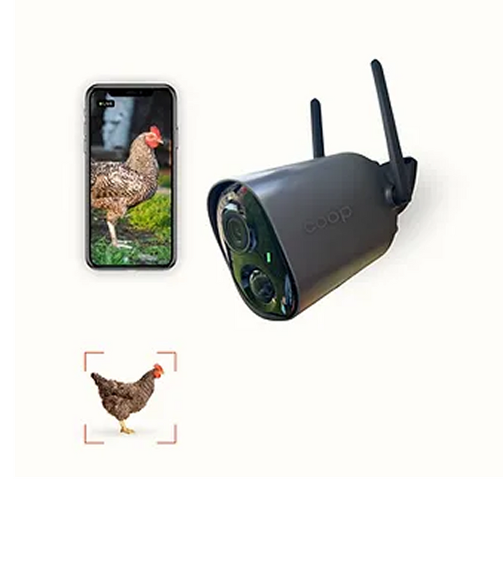 Smart CoopCam - AI Chicken Coop Camera with Predator Detection