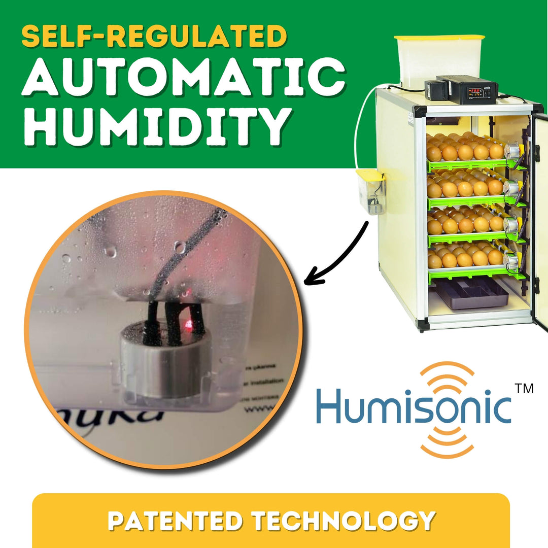 Cimuka 240 Egg Incubator Kit - Automatic Setter & Hatcher Combo