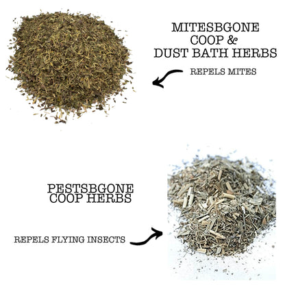 Natural chicken coop herbs bundle featuring MitesBGone for mite repellent and PestsBGone for flying insect control.