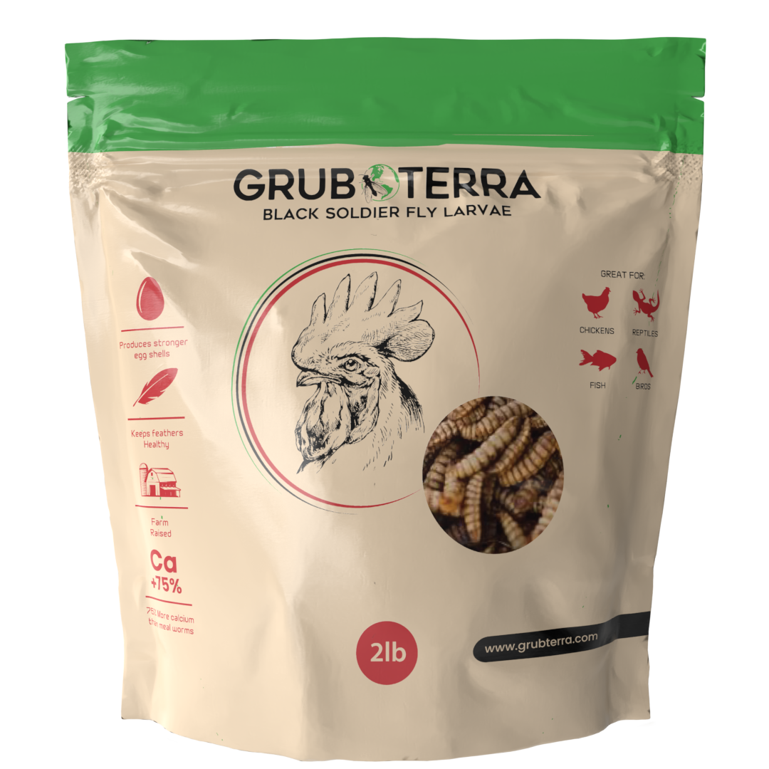 GrubTerra Premium Dried Black Soldier Fly Larvae - Calcium Rich