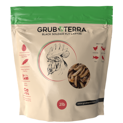 GrubTerra Premium Dried Black Soldier Fly Larvae - Calcium Rich