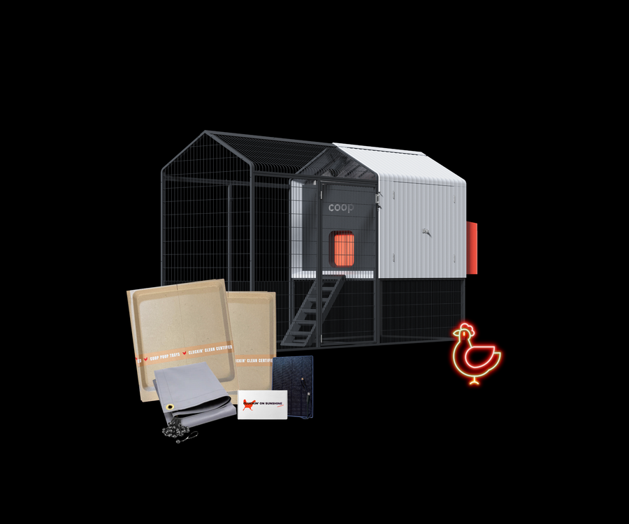 Smart Coop Unlimited+ automated chicken coop bundle with app-controlled door and free chicks included.