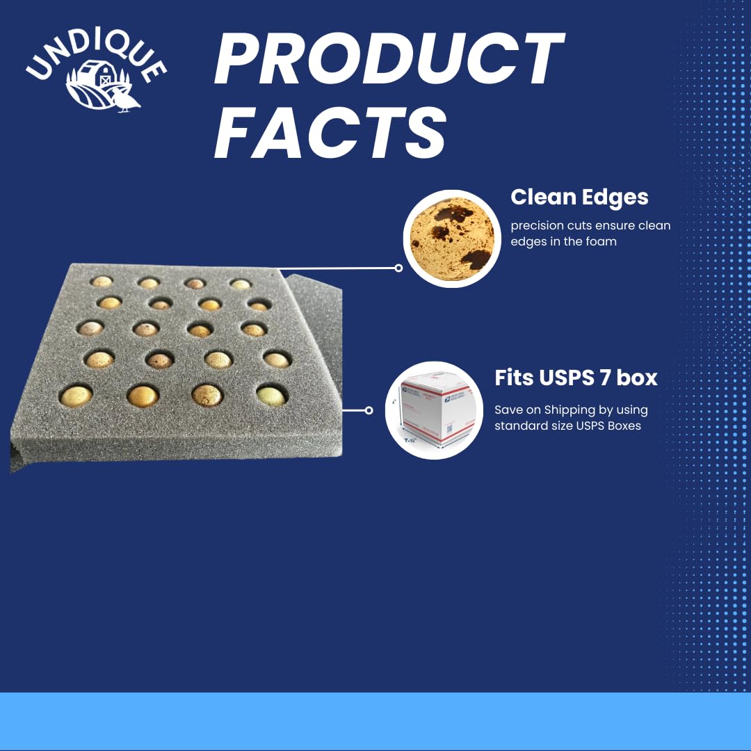 High-Quality Button Quail Egg Foam Shipper 20 Hole Sets (5 Count)
