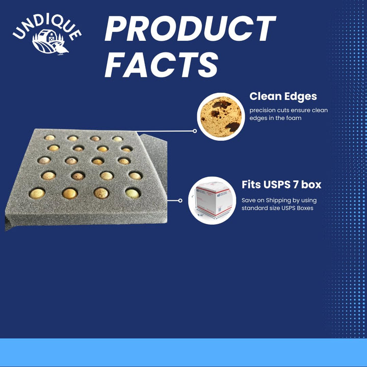 High-Quality Button Quail Egg Foam Shipper 20 Hole Sets (5 Count)