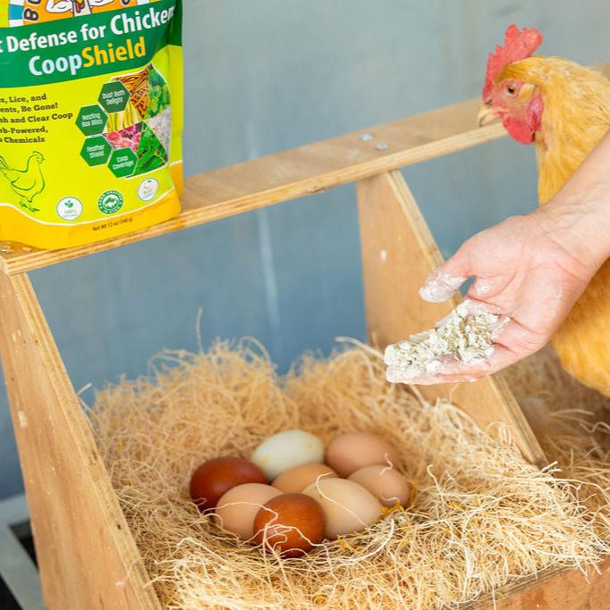 CoopShield—Herbal Pest Defense for Chickens