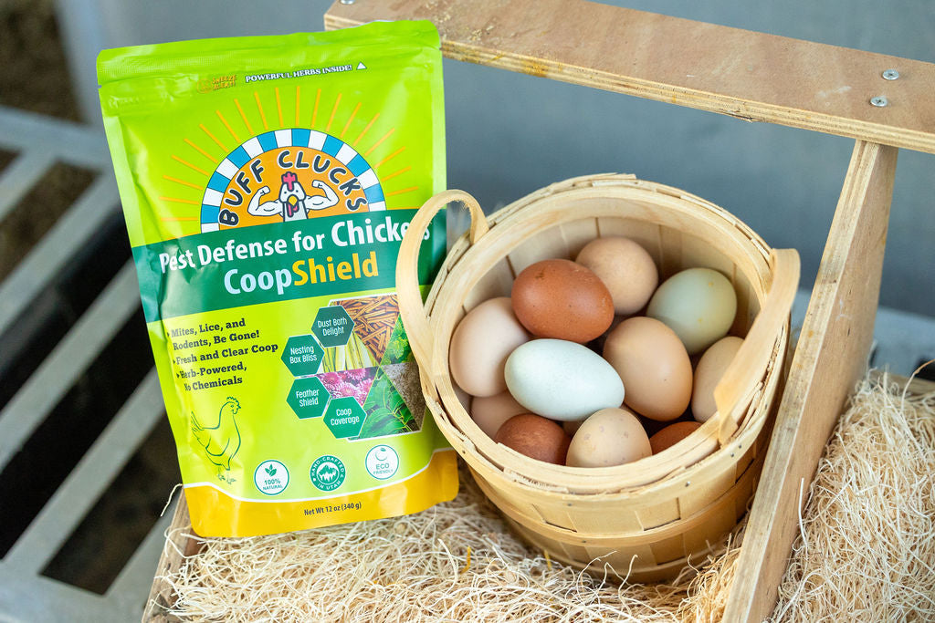 CoopShield—Herbal Pest Defense for Chickens
