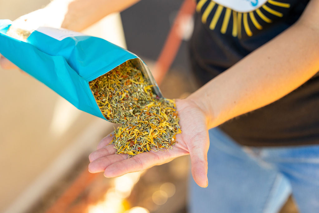 Herb Supplement For Backyard Chickens