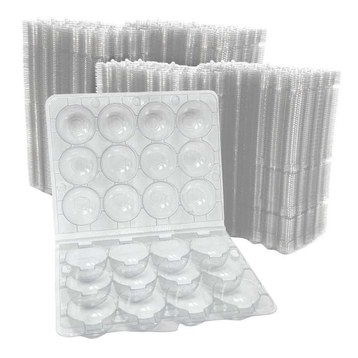 Confezione da 12 uova di quaglia - Plastica Transparente