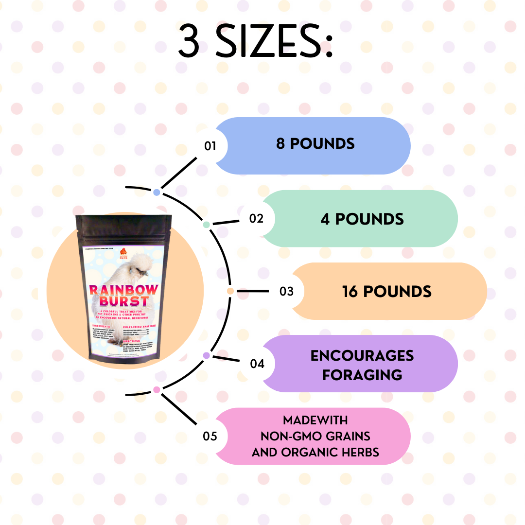 Rainbow Burst Chicken Treat - Black Soldier Fly Larvae Foraging Mix