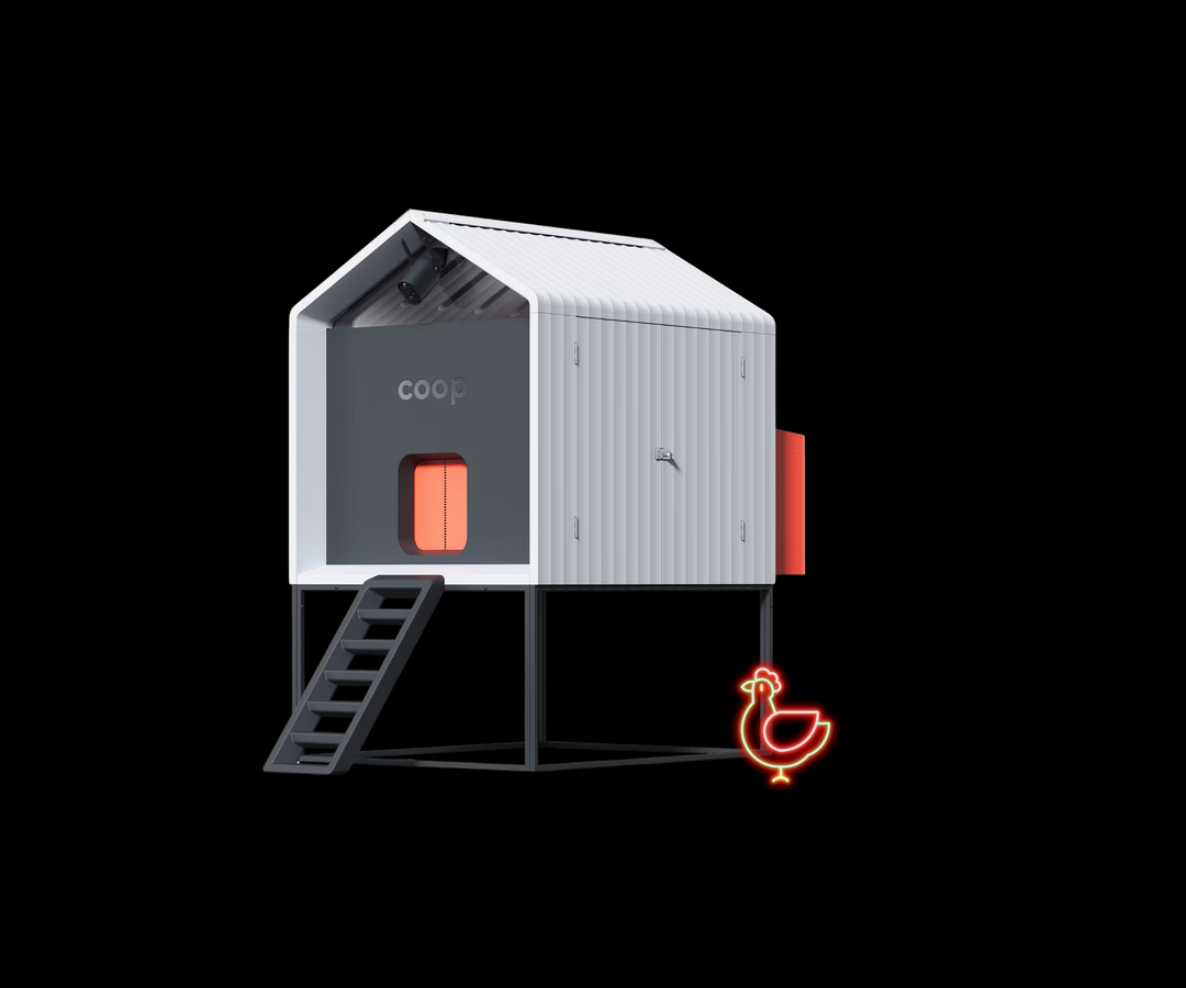 Automated chicken coop with WiFi camera, orange door, and access stairs by The Smart Coop.