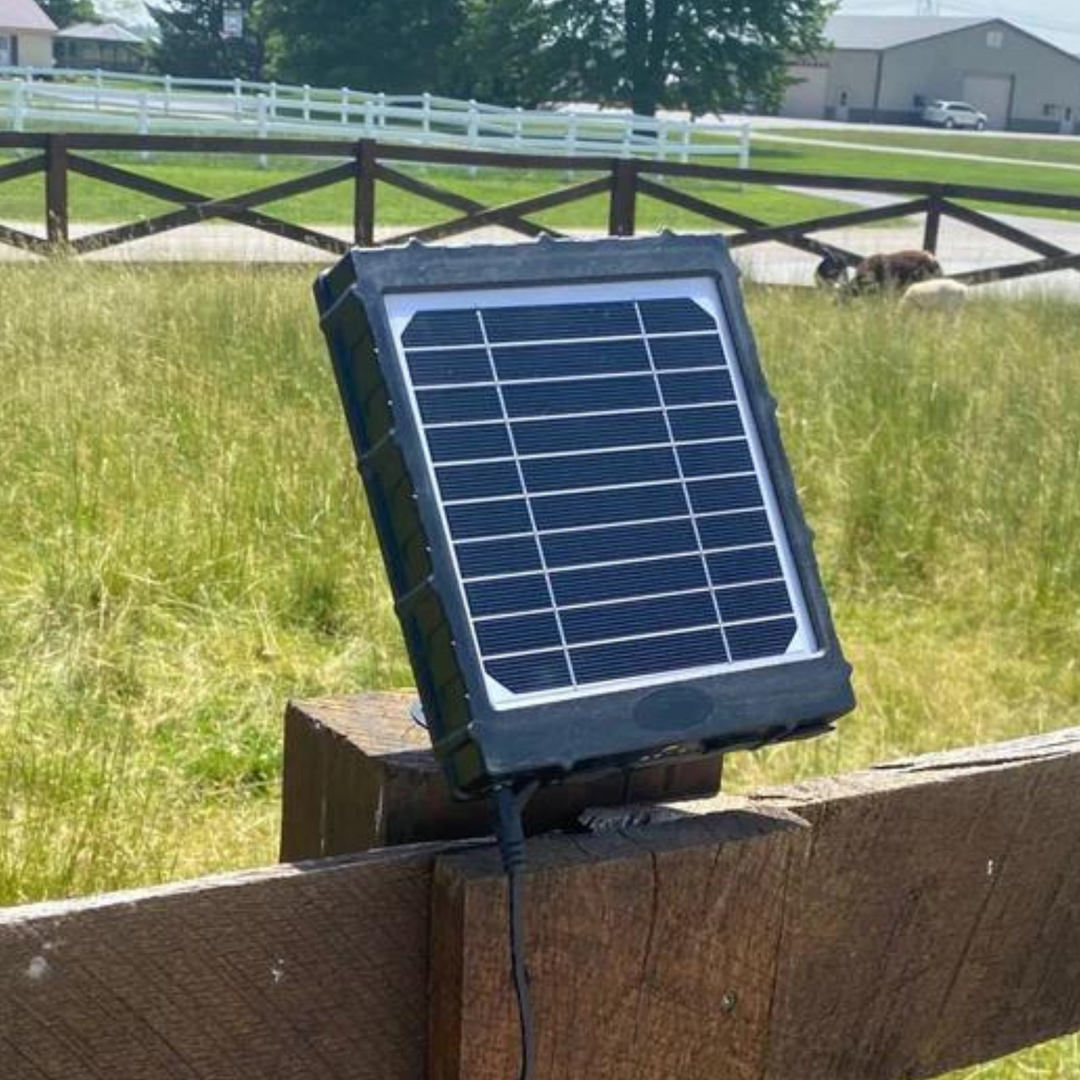 Panel solar de 12 V para abre-puertas AutoRoost