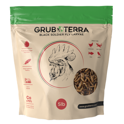 GrubTerra 5 lb premium dried black soldier fly larvae for poultry, rich in calcium and balanced in phosphorus.