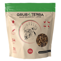 GrubTerra 5 lb premium dried black soldier fly larvae for poultry, rich in calcium and balanced in phosphorus.